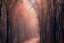 [CBA]常规赛3月11日：九台农商银行VS浙江方兴渡.