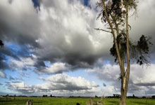 3377体育：中甲 女甲--双甲出征！广西平果引燃壮乡豪情.