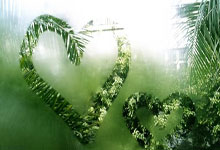 3377体育：日本后卫关根大辉：我的目标是参加世界杯，若有机会会尽全力.