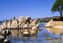 迈阿密网球大师赛半决赛德约对阵迪米特洛夫，梅西现场观战.